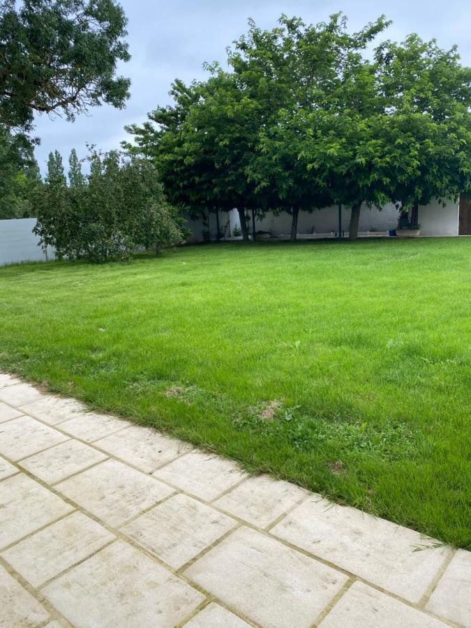 Le Vieux Moulin Bed & Breakfast Bouhet Bagian luar foto